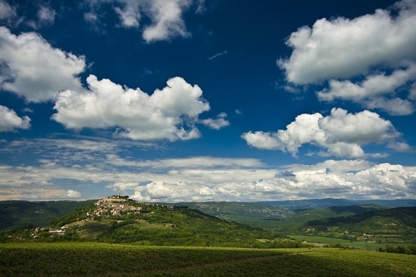 Motovun skog, Kroatia