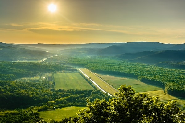 Motovun skog, Kroatia